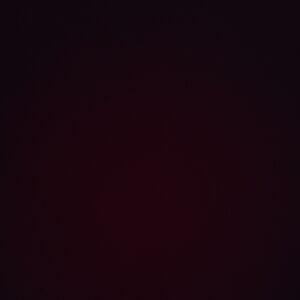 SHIPPING LABEL FOR ADDITIONAL BOXES LUCKY BEAR